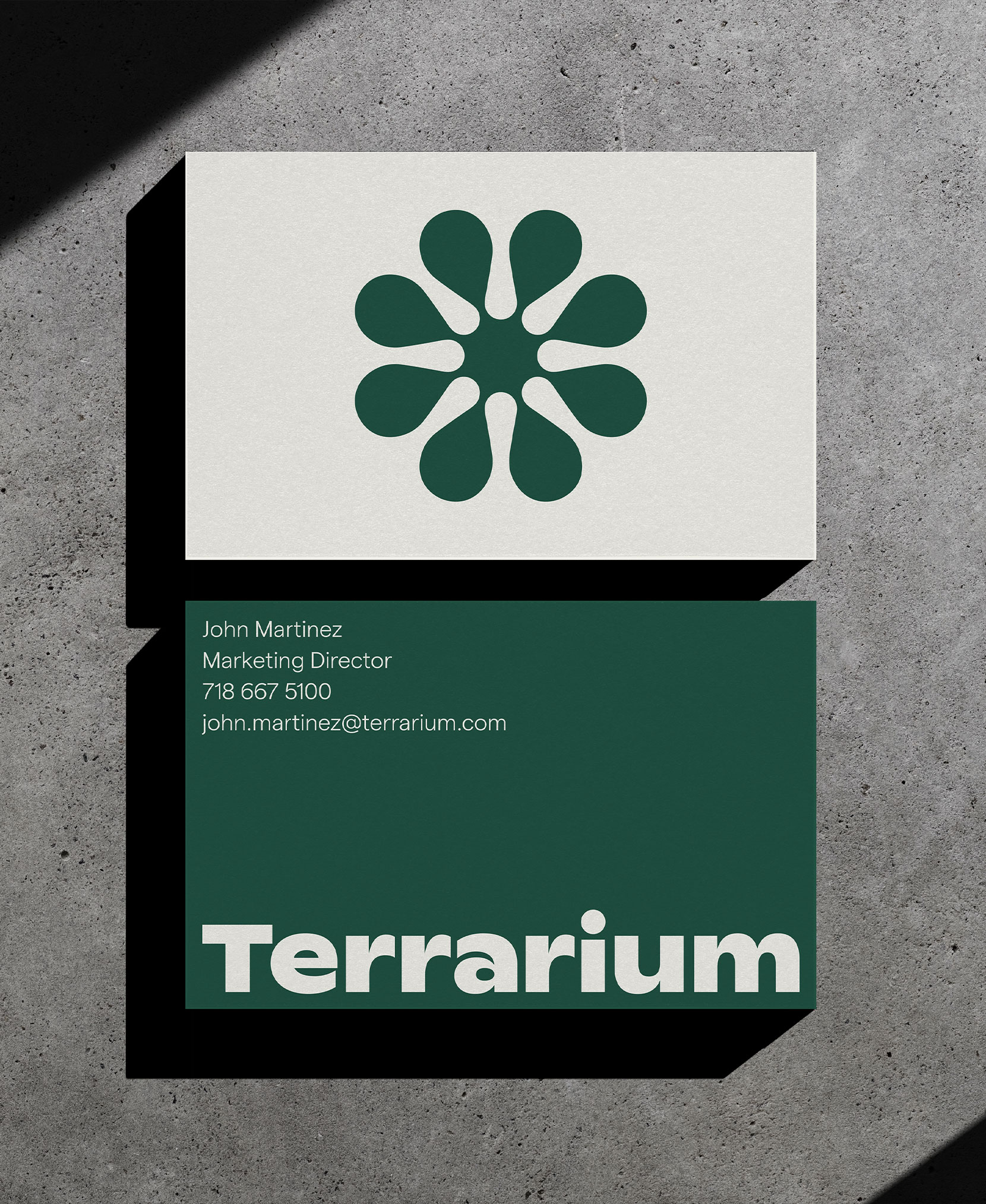 terrarium_cards